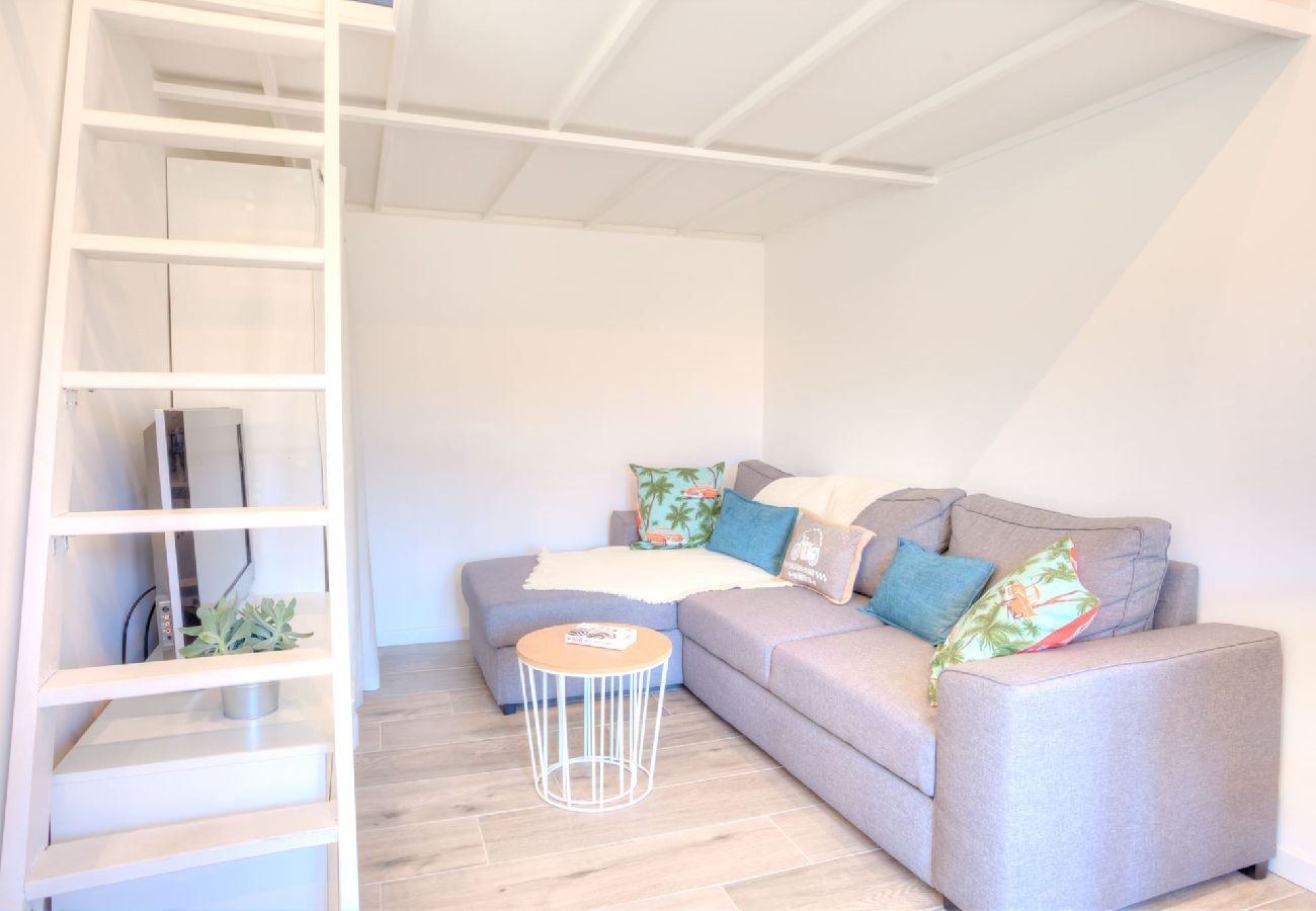 Studio in Nice - #2 Pertinax