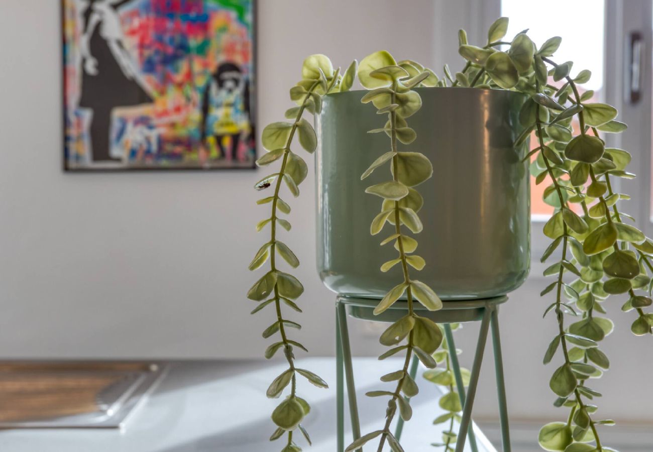 Studio in Nice - L5 Granchi