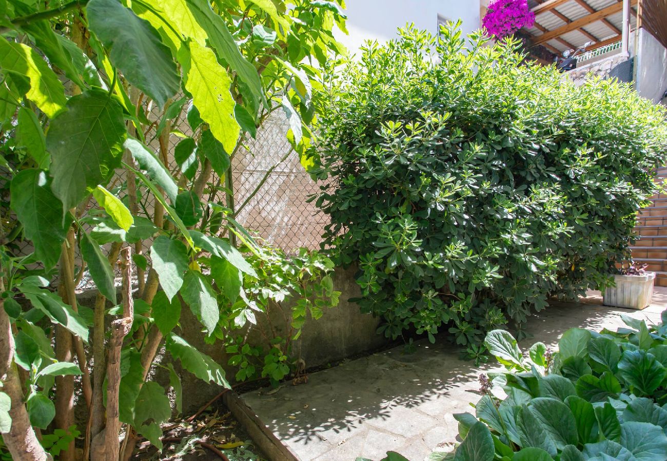 House in Nice - #54 Villa Castel