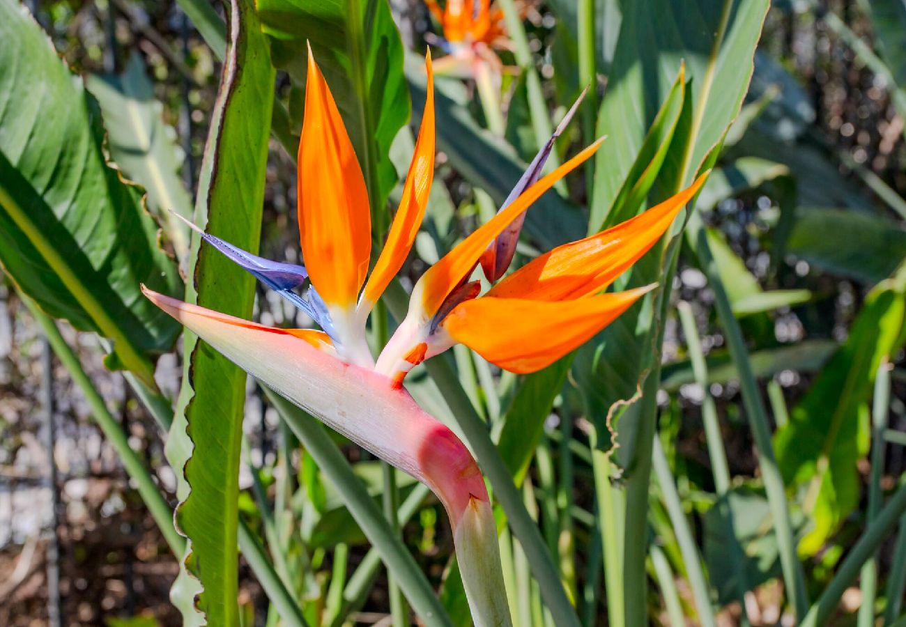 Studio a Nice - #5 Studio Sénat