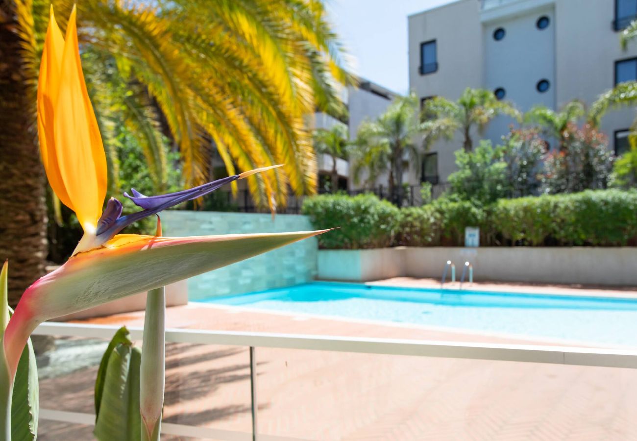 Residence a Cannes - C2 Lagarde