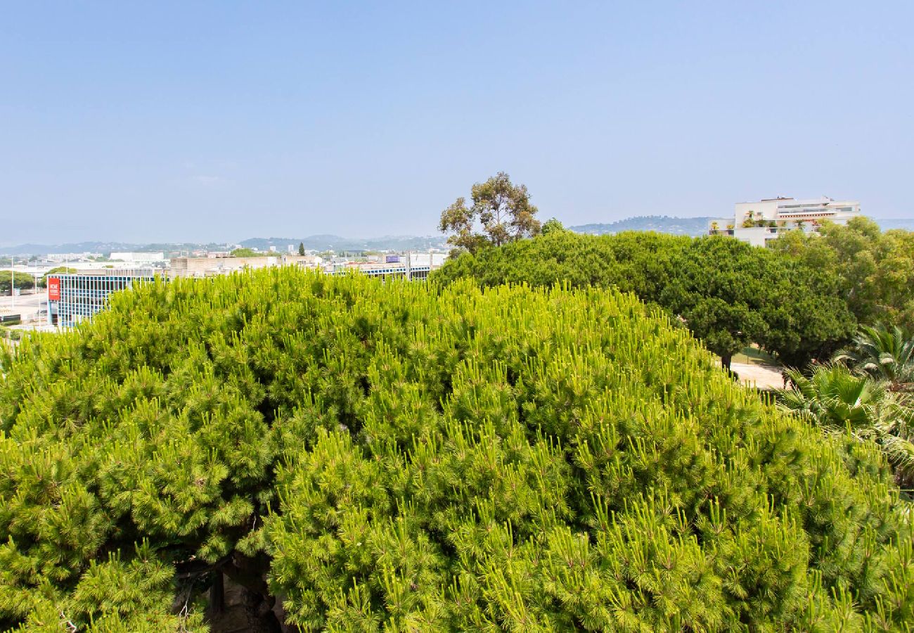 Résidence à Cannes - C3 Sebrek