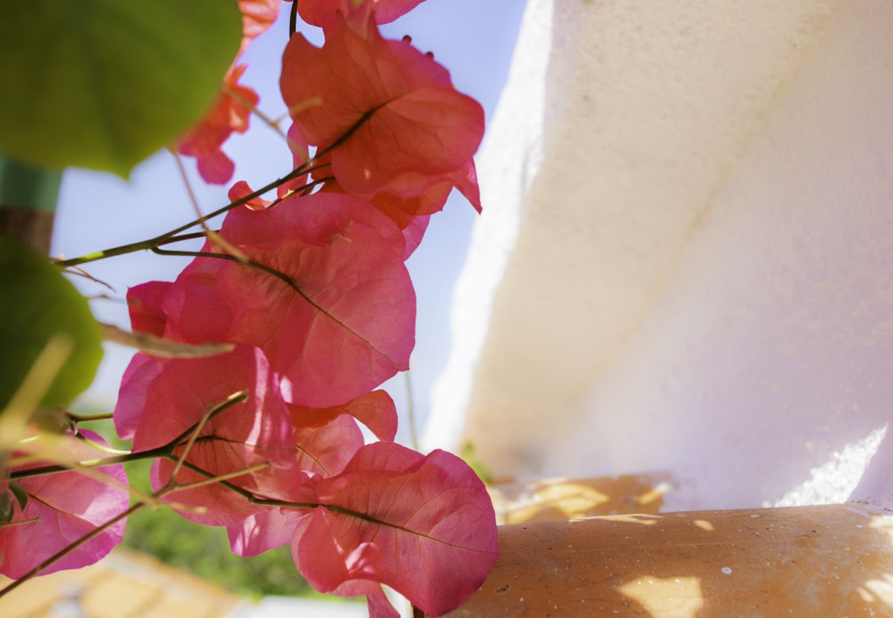 Appartement à Antibes - A2 Maurer