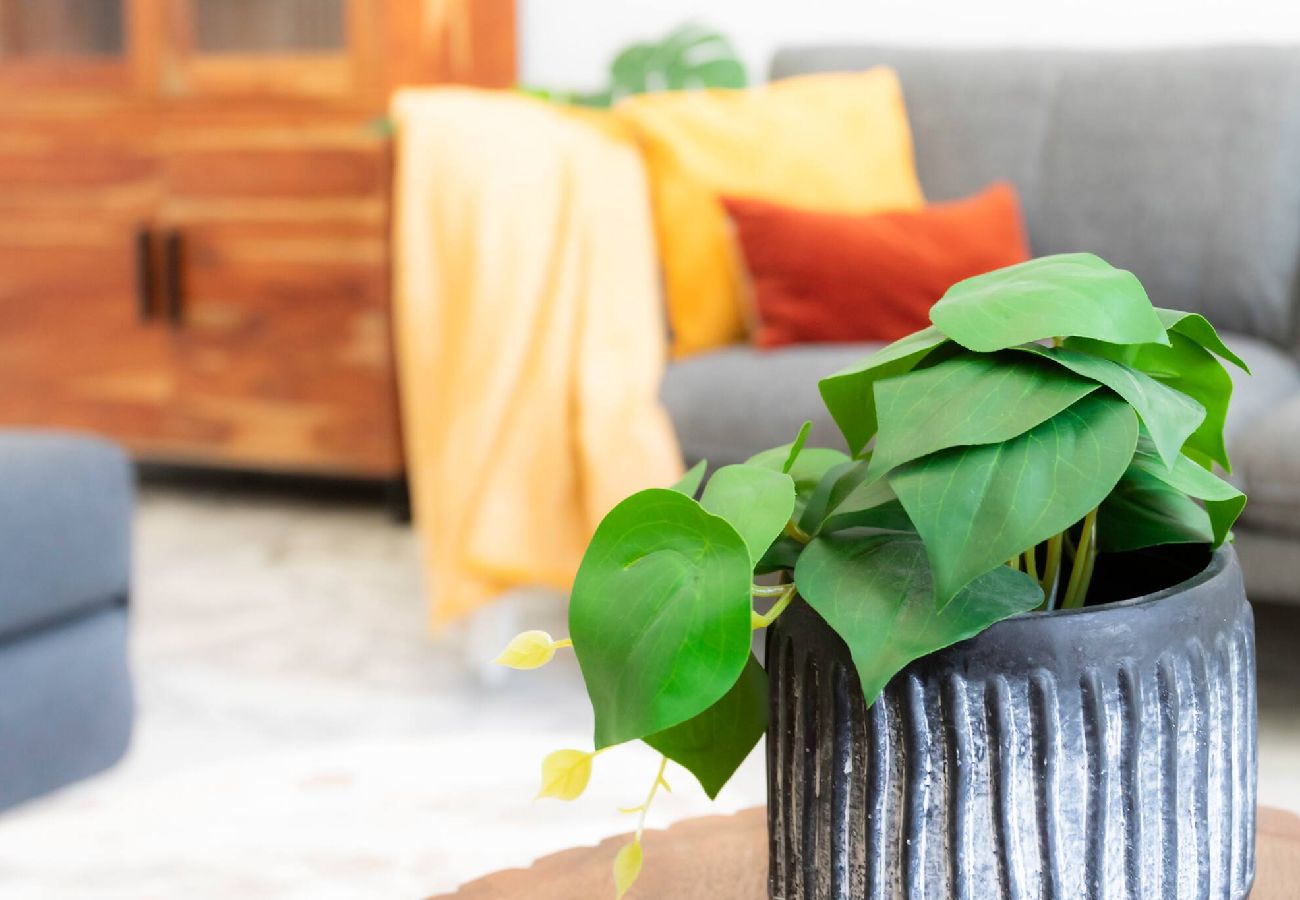 公寓 在 Nice - #57 Suite Notre Dame