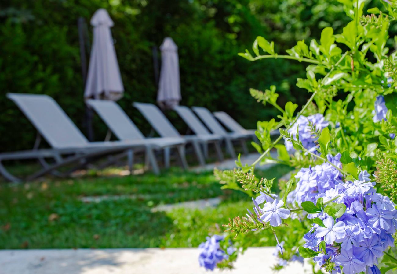 房屋 在 Nice - BM13 Villa St Cyr