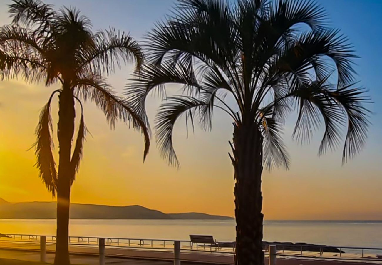 公寓 在 Nice - L39 Lorthiois