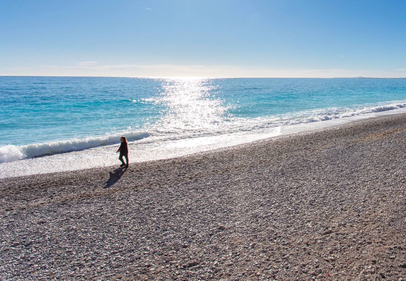 公寓 在 Nice - L21 Palatin